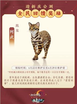 神武大陆天龙八部私服